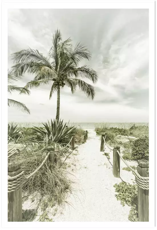 Plage et palmier - affiche palmier vintage