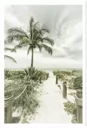 Plage et palmier - affiche palmier vintage