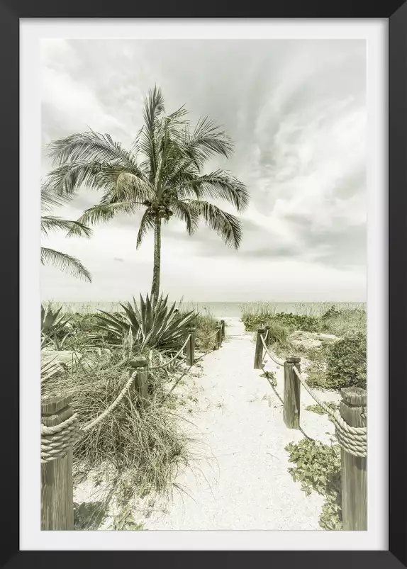 Plage et palmier - affiche palmier vintage