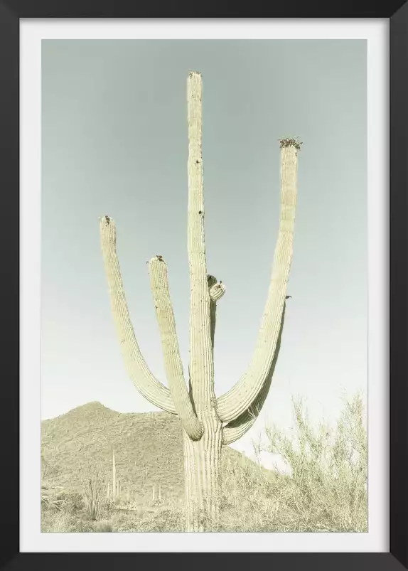 Sagaro vintage - affiche vintage cactus