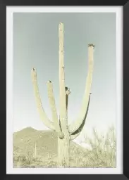 Sagaro vintage - affiche vintage cactus
