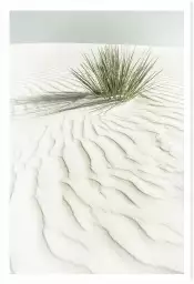 Dune blanche - affiche plante verte