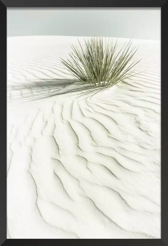 Dune blanche - affiche plante verte