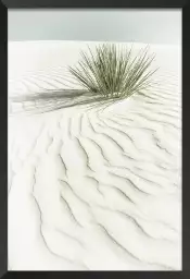 Dune blanche - affiche plante verte