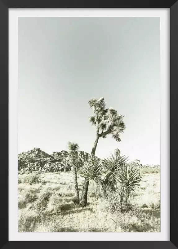 Yucca vintage - poster nature