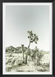 Yucca vintage - poster nature