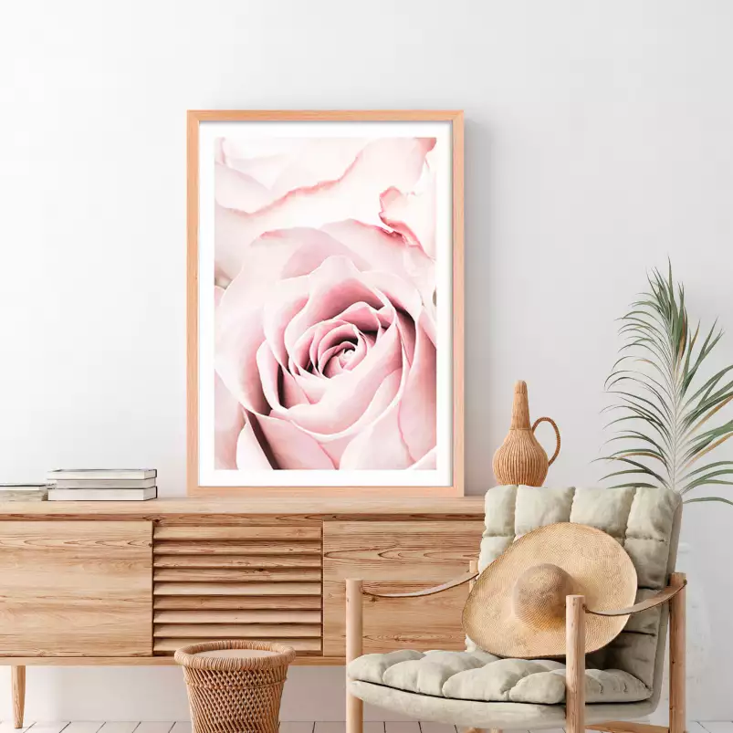 Rosa romantica - affiche romantique