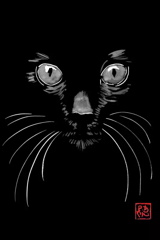 Kuro Neko - affiche de chat