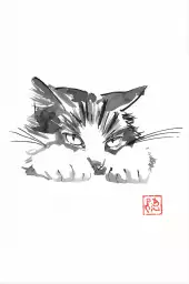 Chat boudeur - affiche de chat