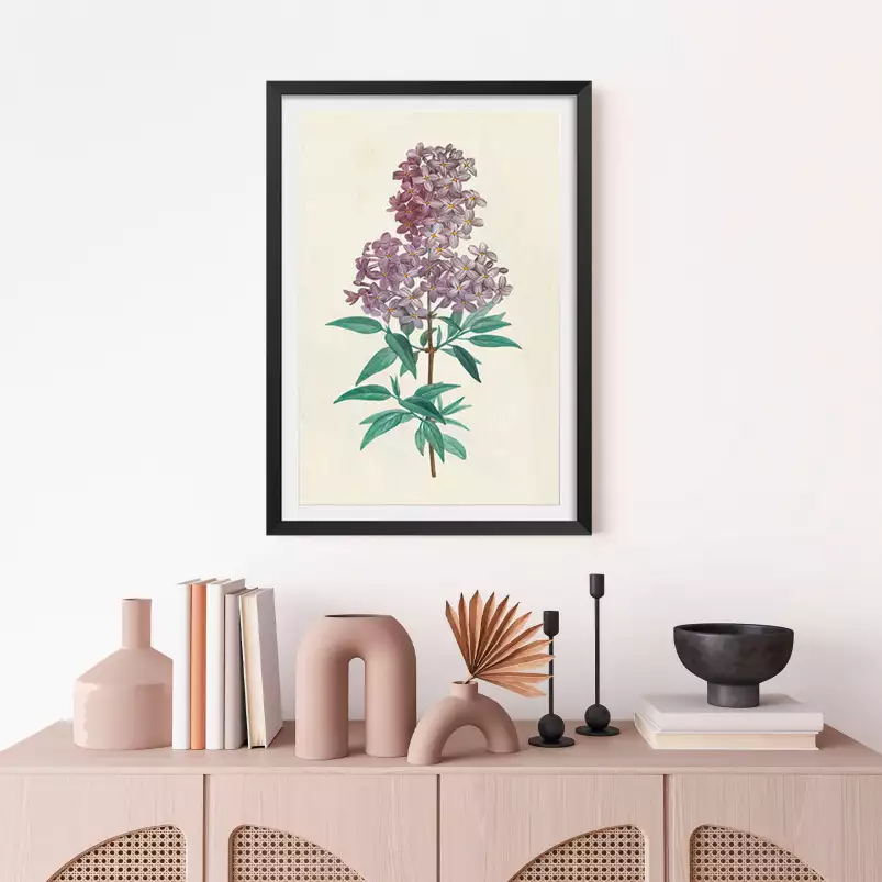 Gravure de lilas vintage - tableau fleur