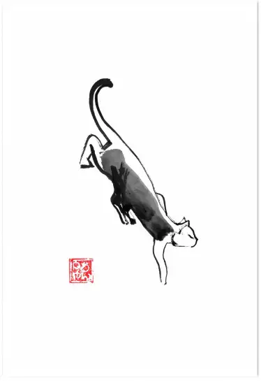 Chat ninja