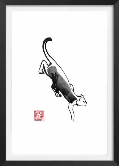 Chat ninja