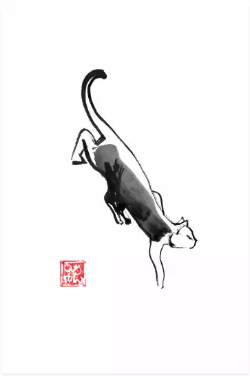 Chat ninja