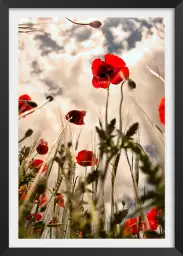 Coquelicots - tableau coquelicot