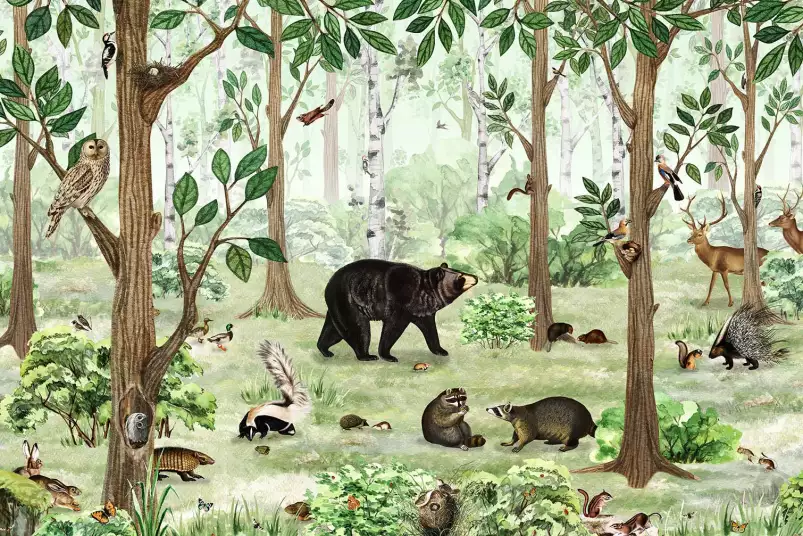 Ours brun et compagnie - affiche chambre enfant
