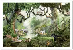 Le clan des fauves - affiche chambre enfant