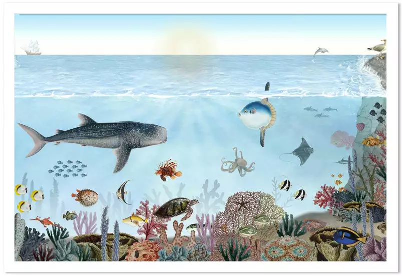 Les aventures de Marius, le requin baleine - affiche chambre enfant Les aventures de Marius, le requin baleine - affiche chambre enfant