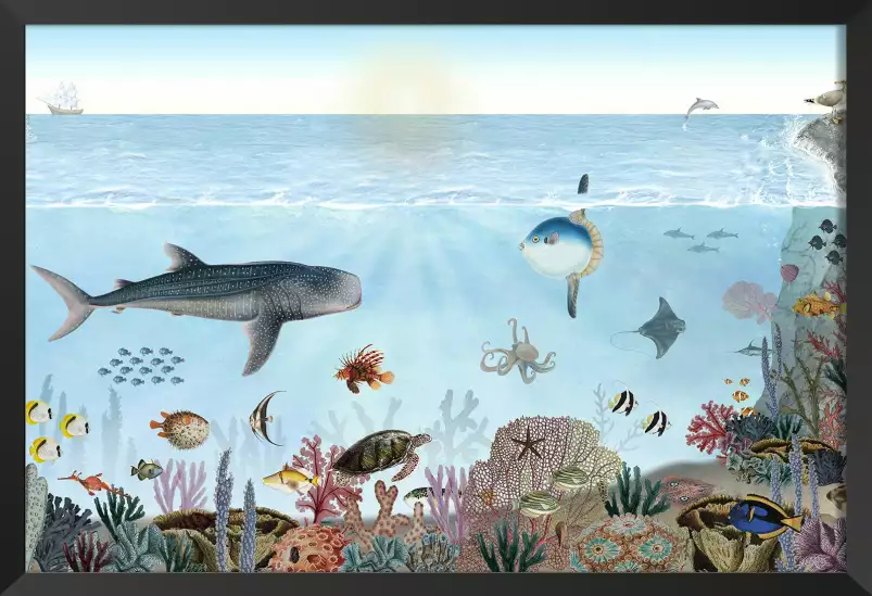 Les aventures de Marius, le requin baleine - affiche chambre enfant