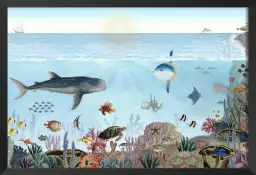 Les aventures de Marius, le requin baleine - affiche chambre enfant
