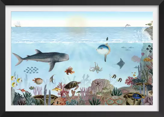 Les aventures de Marius, le requin baleine - affiche chambre enfant
