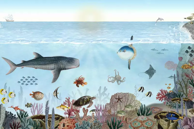 Les aventures de Marius, le requin baleine - affiche chambre enfant