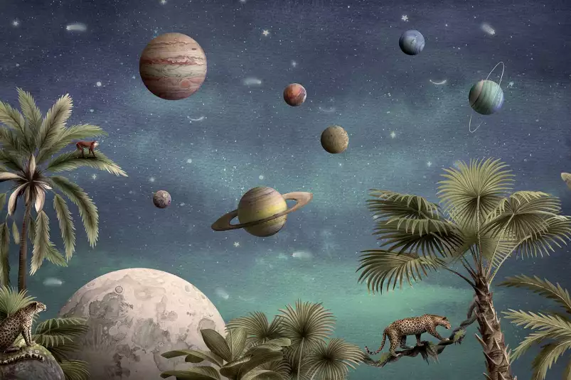 Cheetah et le monde étoilé - poster chambre enfant