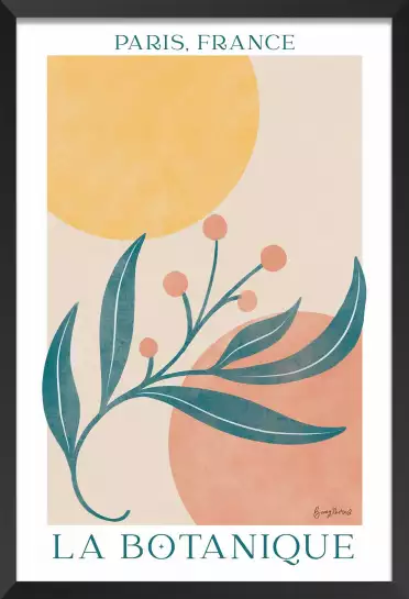 La botanique - affiche plantes