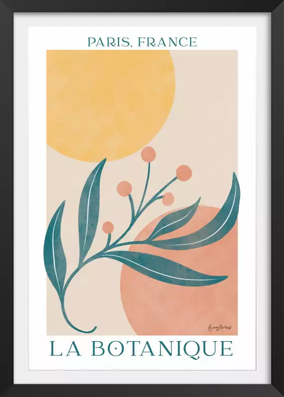 La botanique - affiche plantes