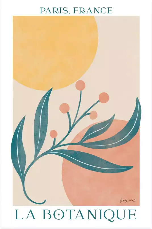 La botanique - affiche plantes