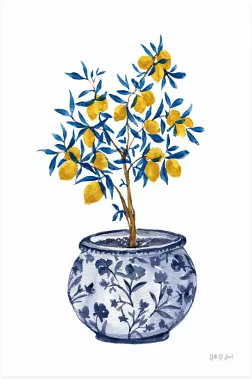 Citronniers et chinoiserie bleueté - affiche plantes