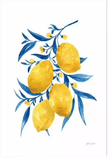 Citrons bleus - affiche plantes
