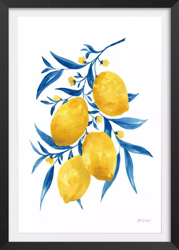 Citrons bleus - affiche plantes