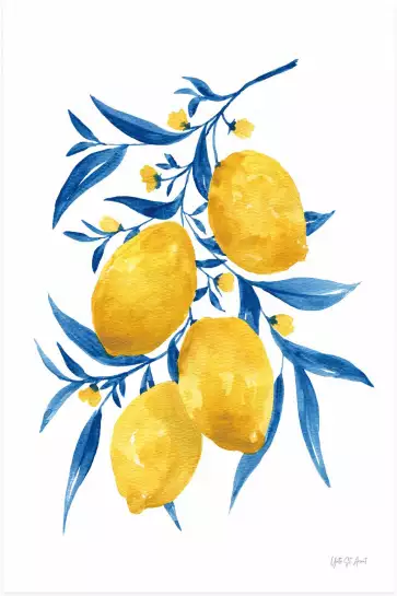 Citrons bleus - affiche plantes