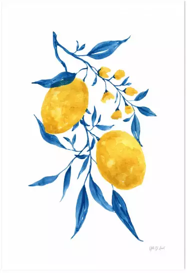 Citrons d'azur - affiche plantes