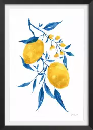Citrons d'azur - affiche plantes