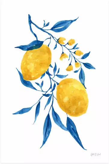 Citrons d'azur - affiche plantes