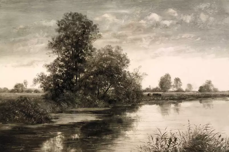 Normandy - paysage champs