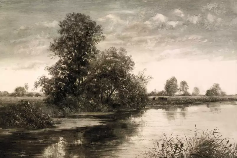 Normandy - paysage champs