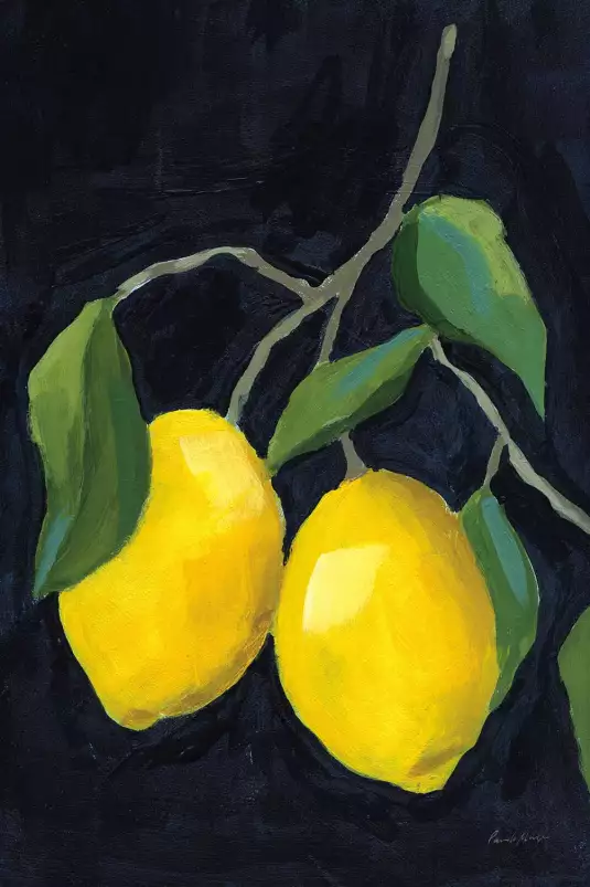 Limonade citrons - tableau nature morte fruits