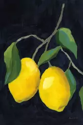Limonade citrons - tableau nature morte fruits