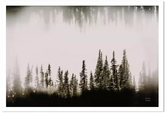 Clearwater creeks - affiche foret