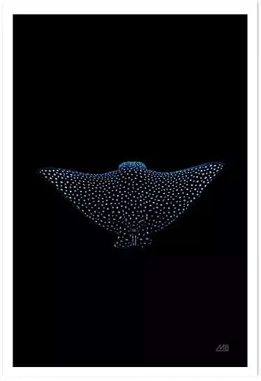 Raie Aigle Sombre - affiche animaux