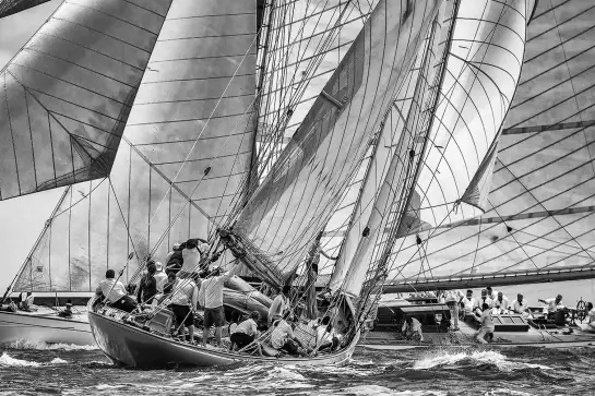 Regate en noir et blanc - affiche bateau