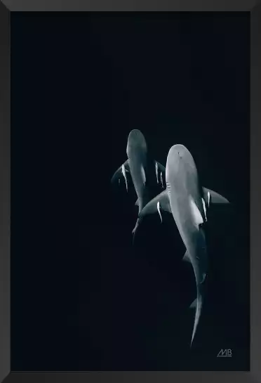 Instinct sauvage - affiche requin