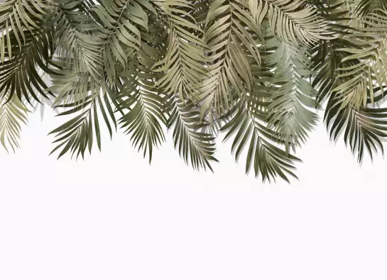 Palmes vertes graphiques - papier peint jungle tropicale