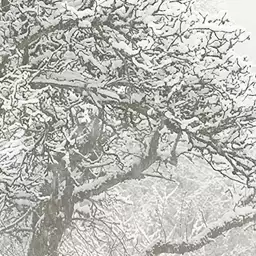 L'hiver arrive - tapisserie panoramique foret