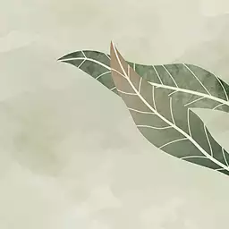 Brume d’eucalyptus - tapisserie panoramique feuilles