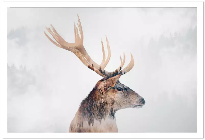 Cerf aux bois - photo animaux