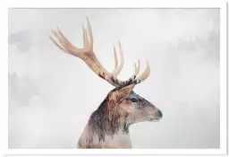 Cerf aux bois - photo animaux