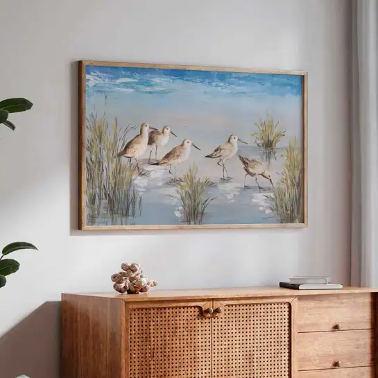 Bécasseaux - affiche oiseaux